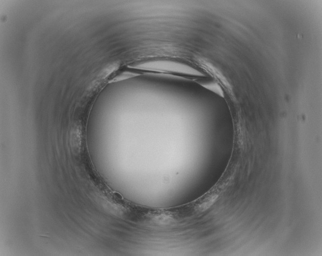 X0000072970113200608111726