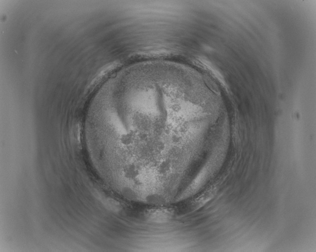 X0000072970115200608111726