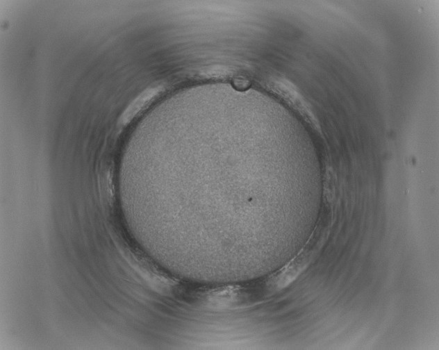 X0000072970116200608111726