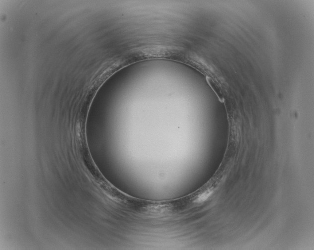 X0000072970117200608111726