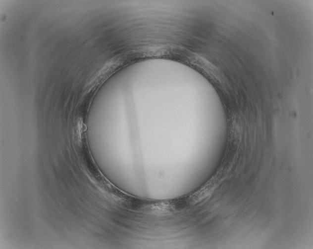 X0000072970118200608111726