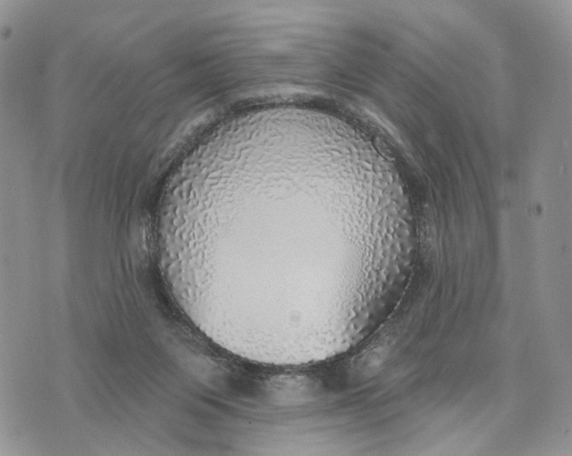 X0000072970119200608111726