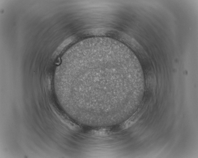 X0000072970120200608111726