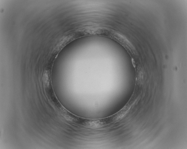 X0000072970121200608111726