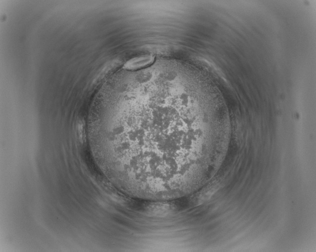 X0000072970123200608111726