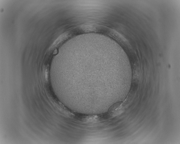 X0000072970124200608111726