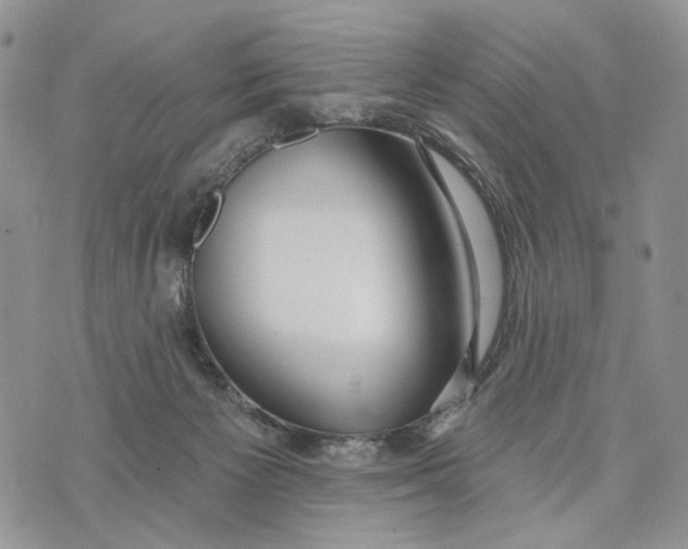 X0000072970125200608111726