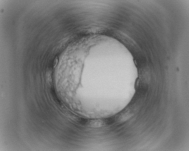 X0000072970127200608111726