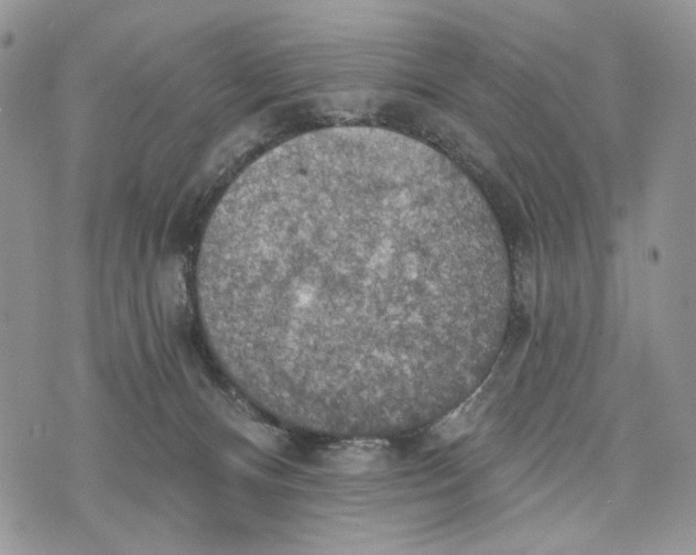 X0000072970128200608111726