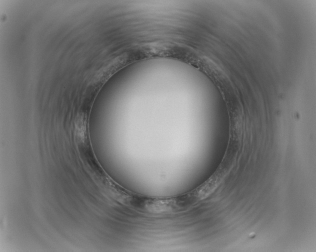 X0000072970129200608111726