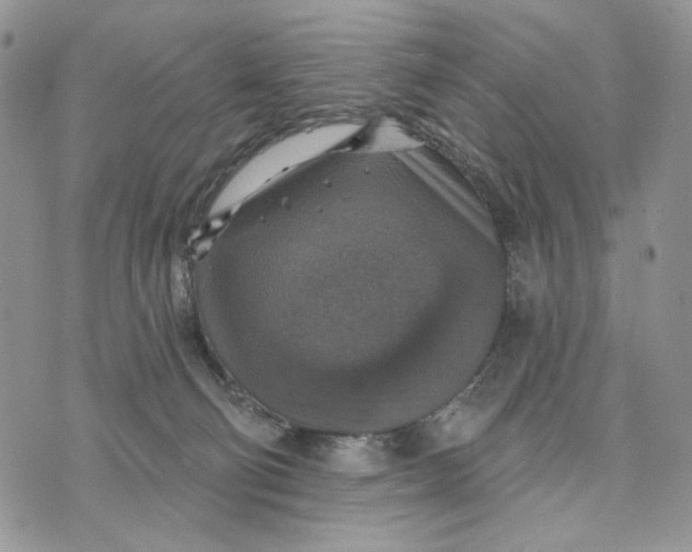 X0000072970130200608111726