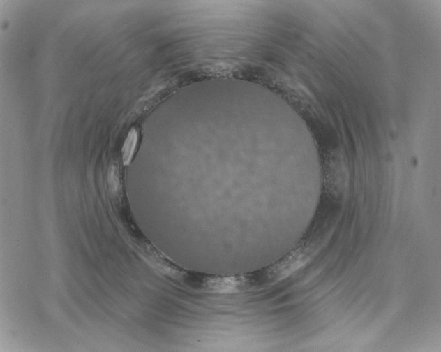 X0000072970131200608111726