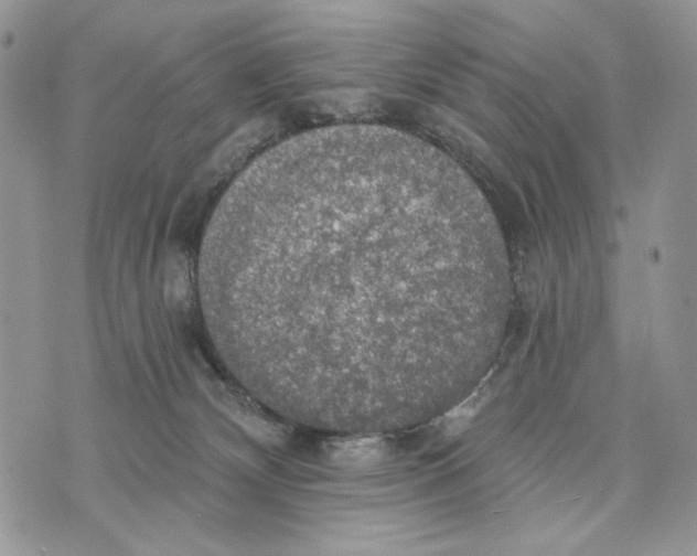 X0000072970132200608111726