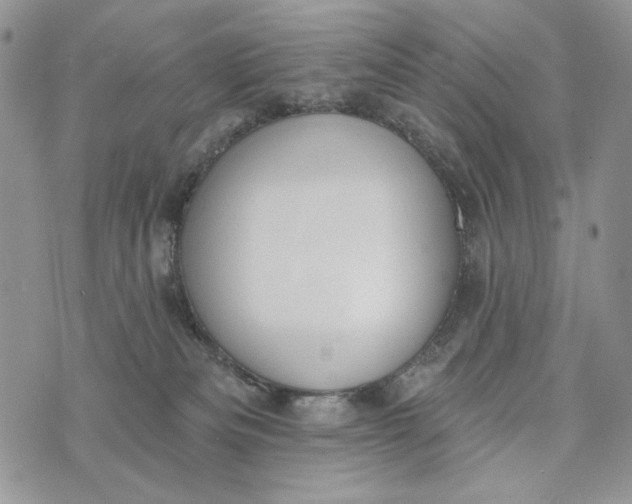 X0000072970133200608111726