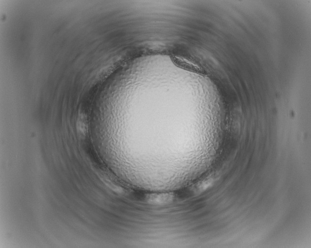 X0000072970135200608111726