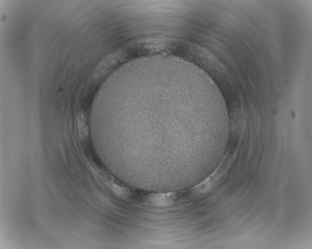 X0000072970136200608111726