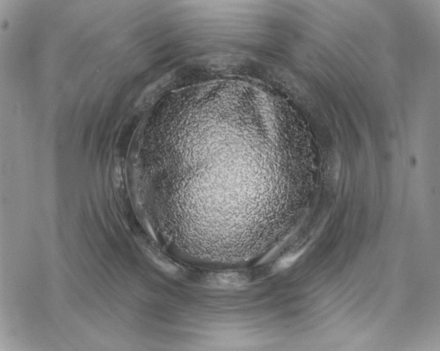 X0000072970137200608111726