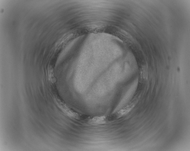 X0000072970138200608111726