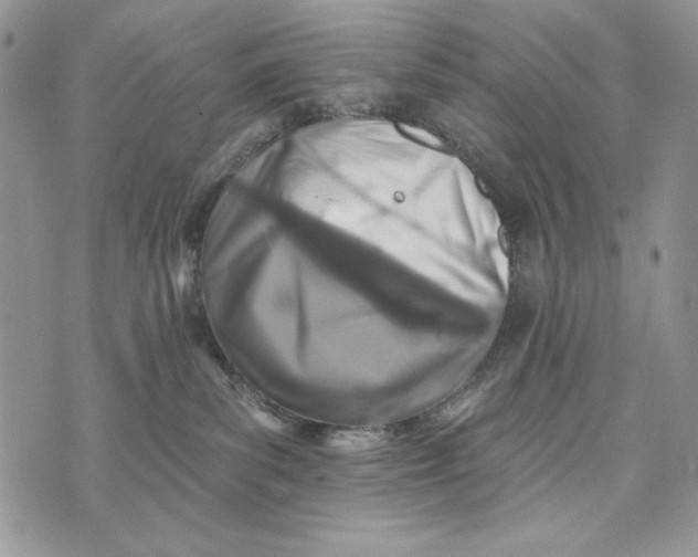 X0000072970139200608111726