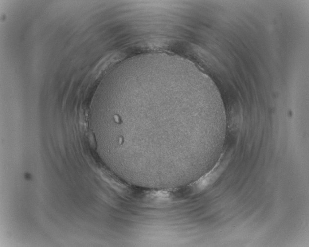 X0000072970140200608111725