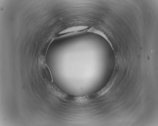 X0000072970141200608111725