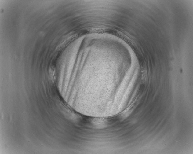 X0000072970142200608111725