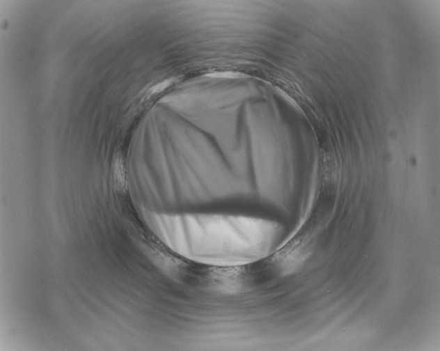 X0000072970143200608111725