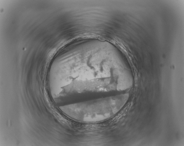 X0000072970145200608111725