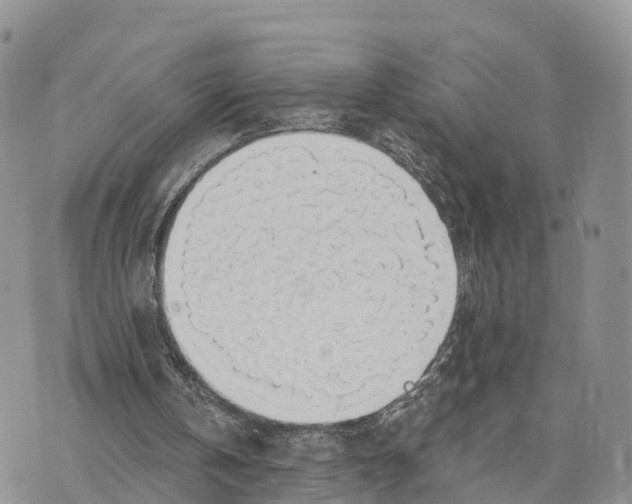 X0000072970146200608111725