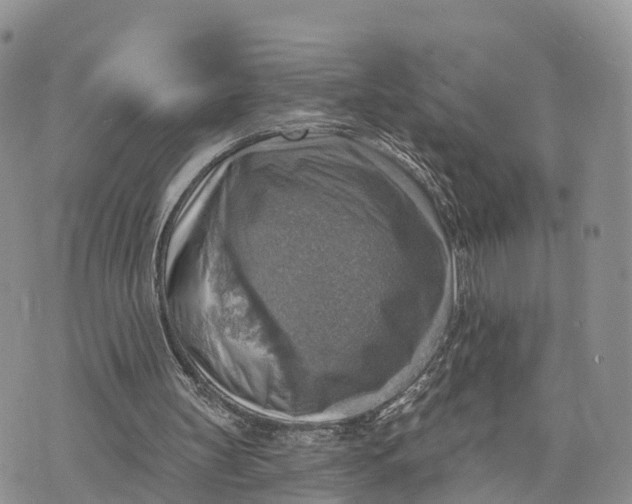 X0000072970147200608111725