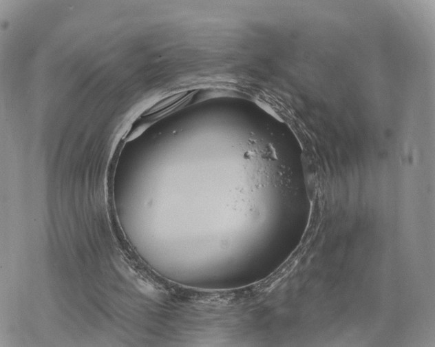 X0000072970148200608111725