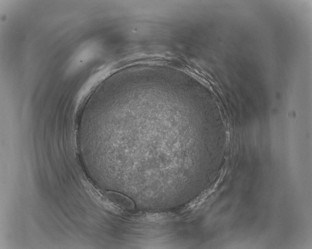 X0000072970149200608111725