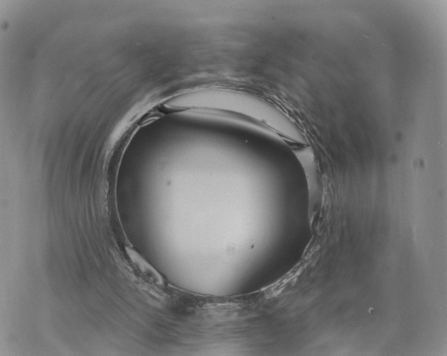 X0000072970150200608111725