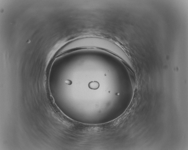 X0000072970152200608111725