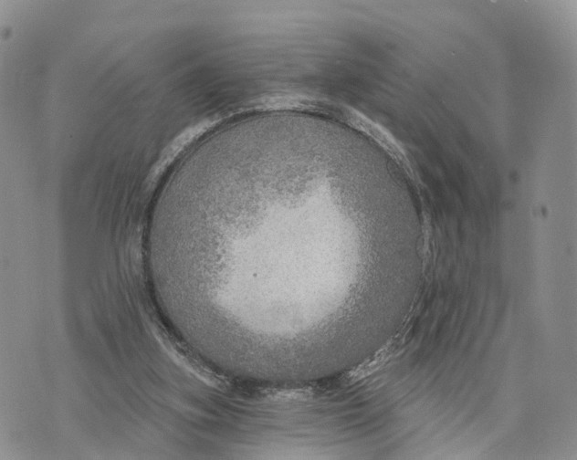 X0000072970155200608111725