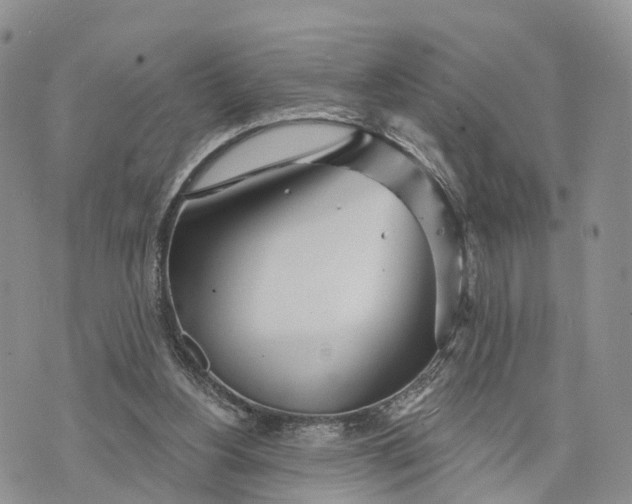 X0000072970156200608111725