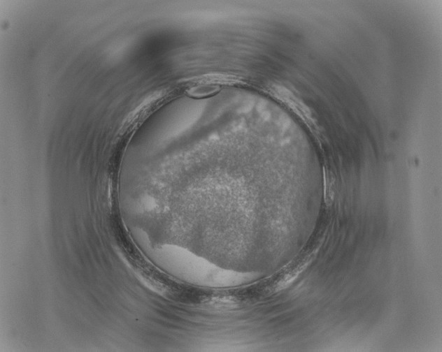 X0000072970157200608111725