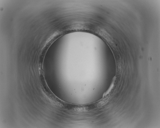 X0000072970160200608111725