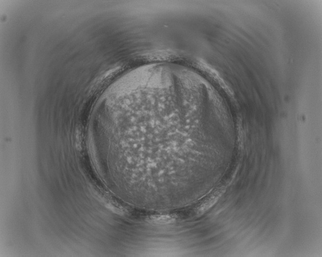 X0000072970161200608111725