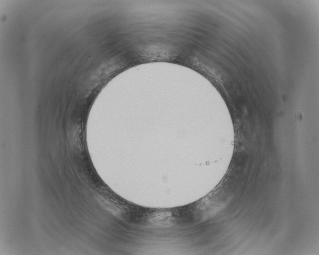 X0000072970162200608111725