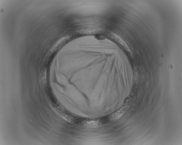 X0000072970163200608111725