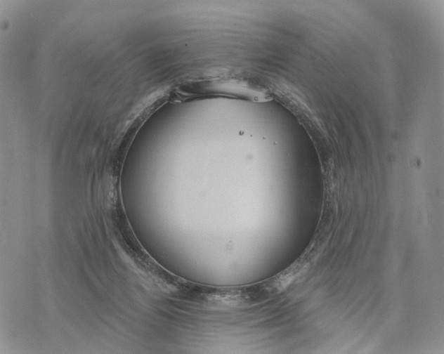 X0000072970164200608111725