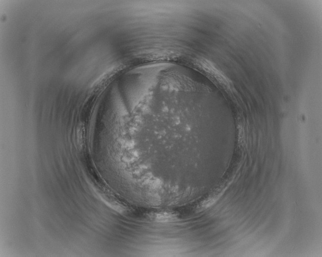 X0000072970165200608111725