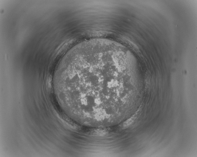 X0000072970166200608111725