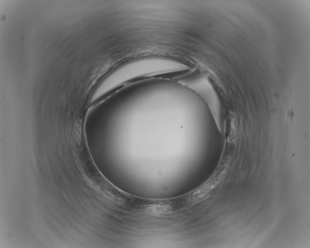 X0000072970168200608111725