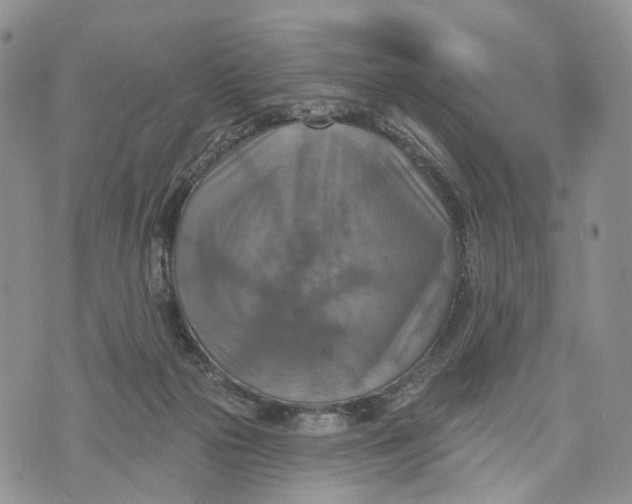 X0000072970169200608111725