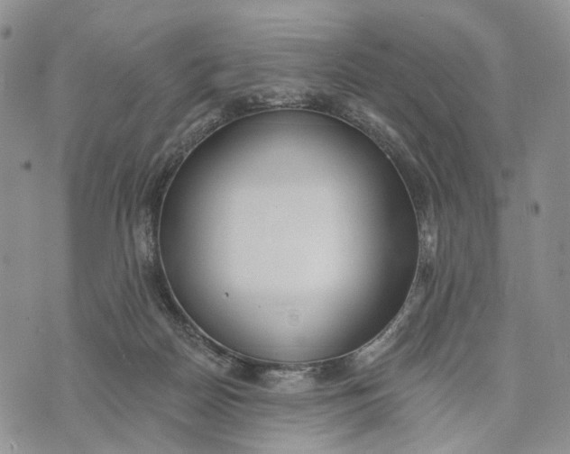 X0000072970170200608111725