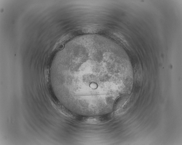 X0000072970171200608111725