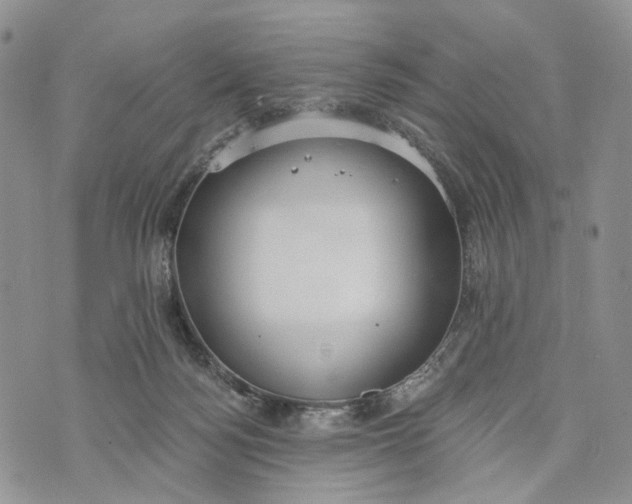 X0000072970172200608111725