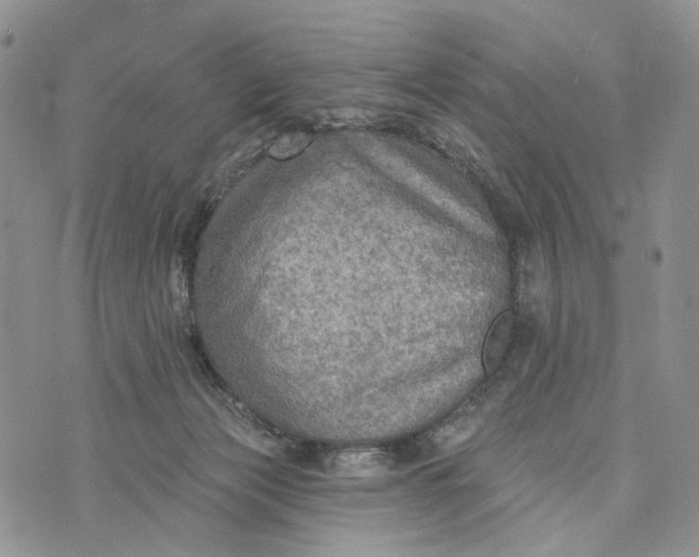 X0000072970173200608111725